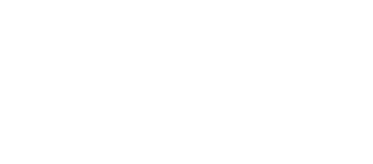 Brignone s.r.l.
